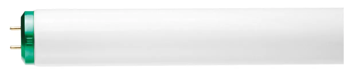 Philips 273490 ALTO Fluorescent Lamp